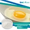SNC | Good Fortune is a professional Egg White Protein supplier in China supplies all kinds of healthy ingredient.